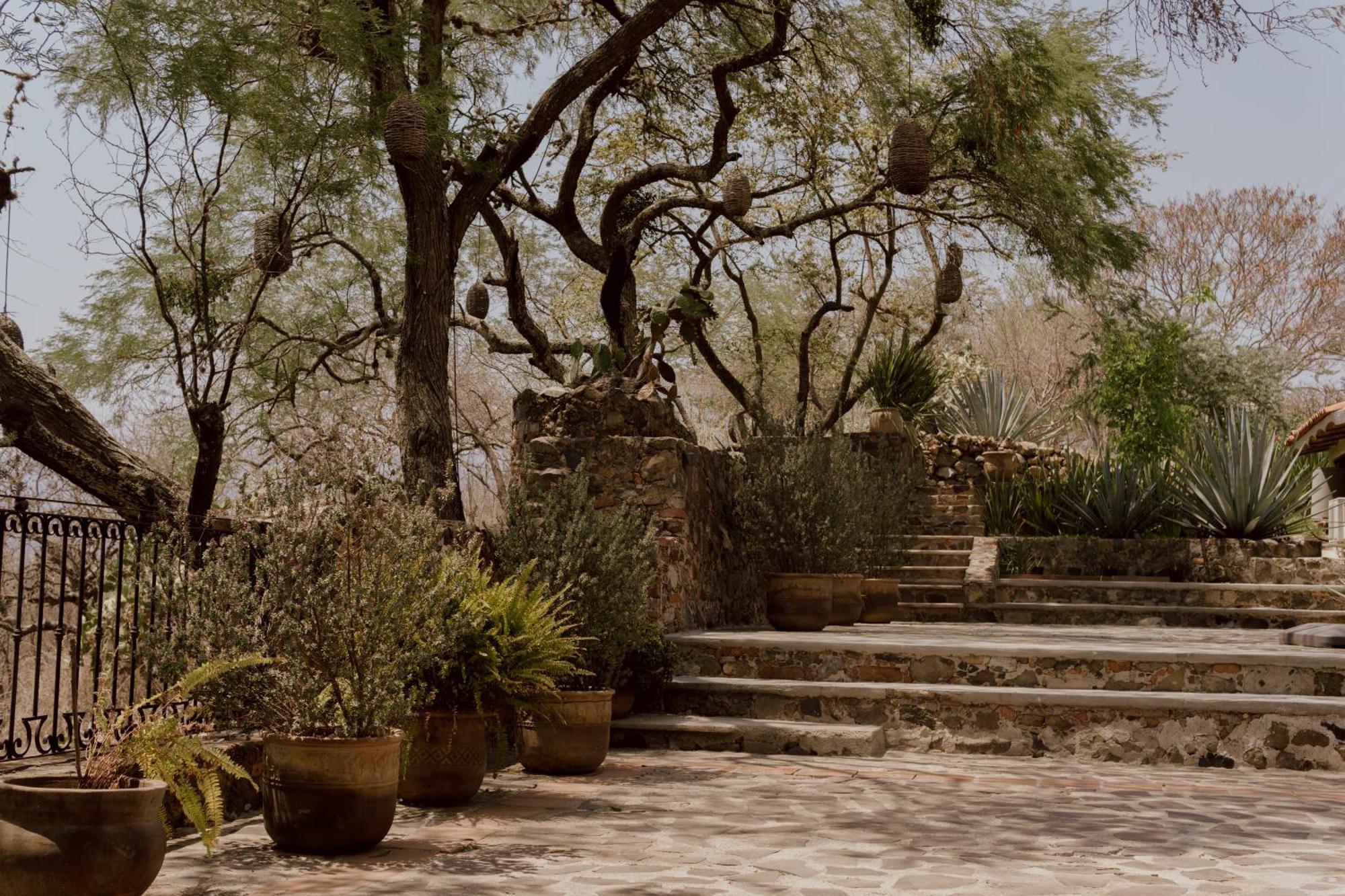 Teuchitlán Hacienda San Nicolas De Las Fuentes المظهر الخارجي الصورة