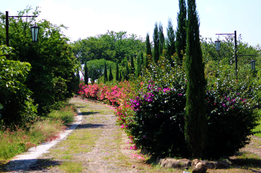 Teuchitlán Hacienda San Nicolas De Las Fuentes المظهر الخارجي الصورة