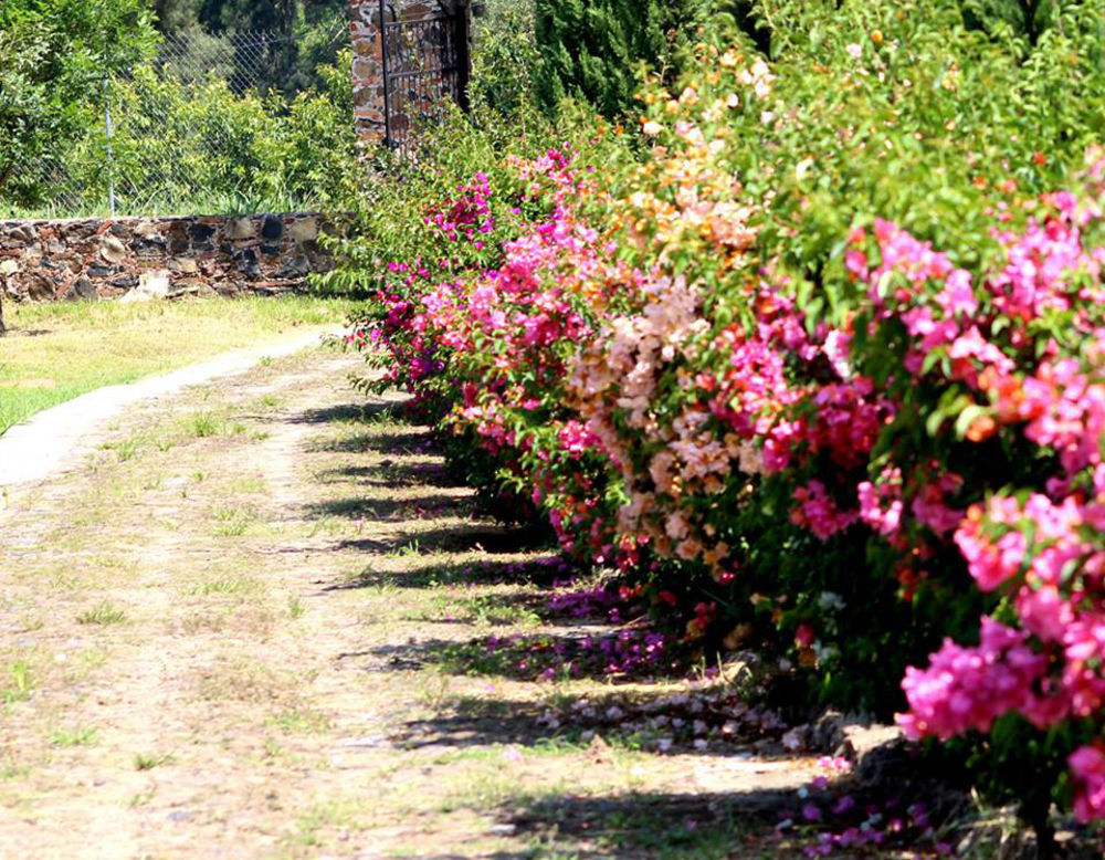 Teuchitlán Hacienda San Nicolas De Las Fuentes المظهر الخارجي الصورة